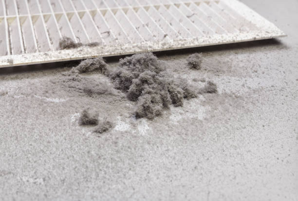 Best Home Air Vent Cleaning  in Frederick, MD